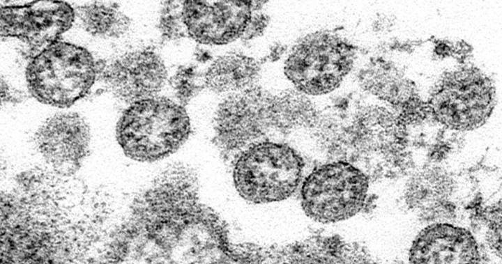 Coronavirus: 2 deaths, 1 new case, 8 recoveries in London-Middlesex - globalnews.ca - city London - county Middlesex