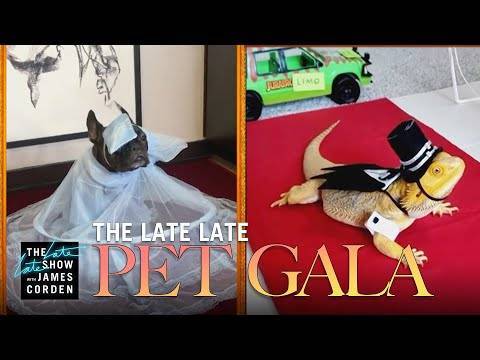 James Corden - Brad Goreski - James Corden’s Virtual ‘Pet Gala’ Is So Purrfect You Won’t Even Miss The Real Red Carpet! - perezhilton.com