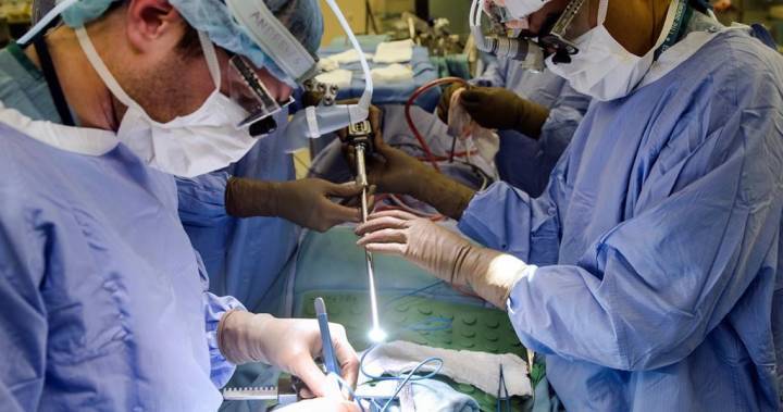 Nova Scotia - More than 2,100 surgeries suspended in Nova Scotia amid COVID-19 pandemic - globalnews.ca - Halifax