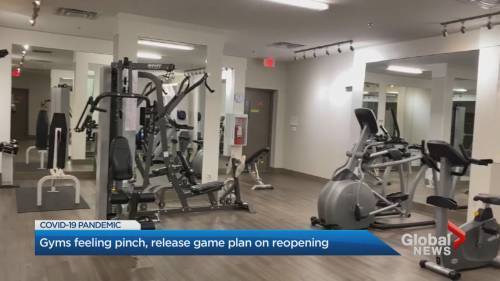Kamil Karamali - Coronavirus: Toronto-area gyms looking at reopening plans - globalnews.ca