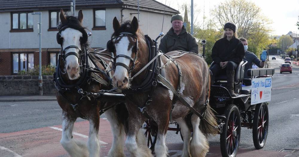 The slowest milk cart in the west - help save Ayrshire's mighty cart horses - dailyrecord.co.uk