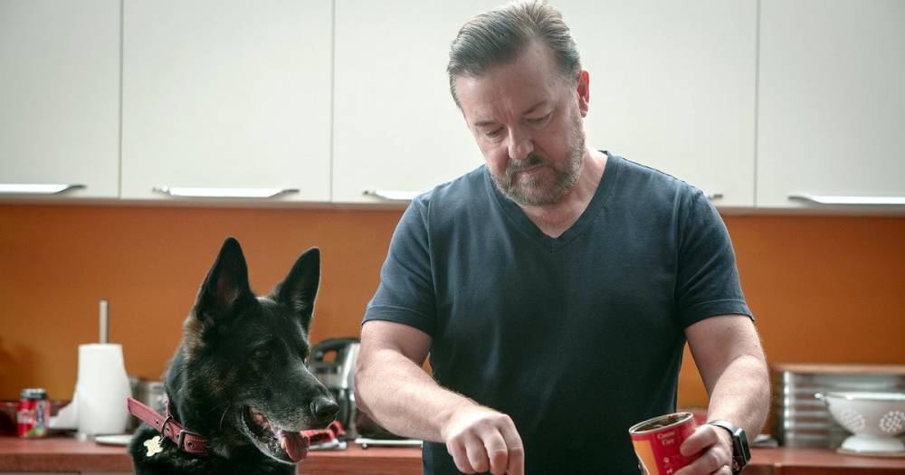 Ricky Gervais - Tony Johnson - After Life season 3 confirmed by Netflix but will it be Ricky Gervais comedy's final run? - mirror.co.uk