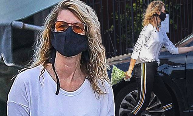 Laura Dern - Laura Dern wears mask to pick up spinach in Brentwood... after celebrating 1M Instagram followers - dailymail.co.uk