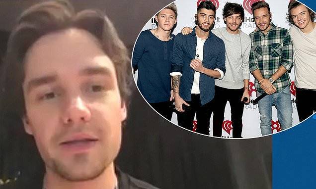 Niall Horan - Liam Payne - Harry Styles - Louis Tomlinson - Liam Payne says a One Direction reunion 'seems very hopeful' for the band's 10th anniversary - dailymail.co.uk