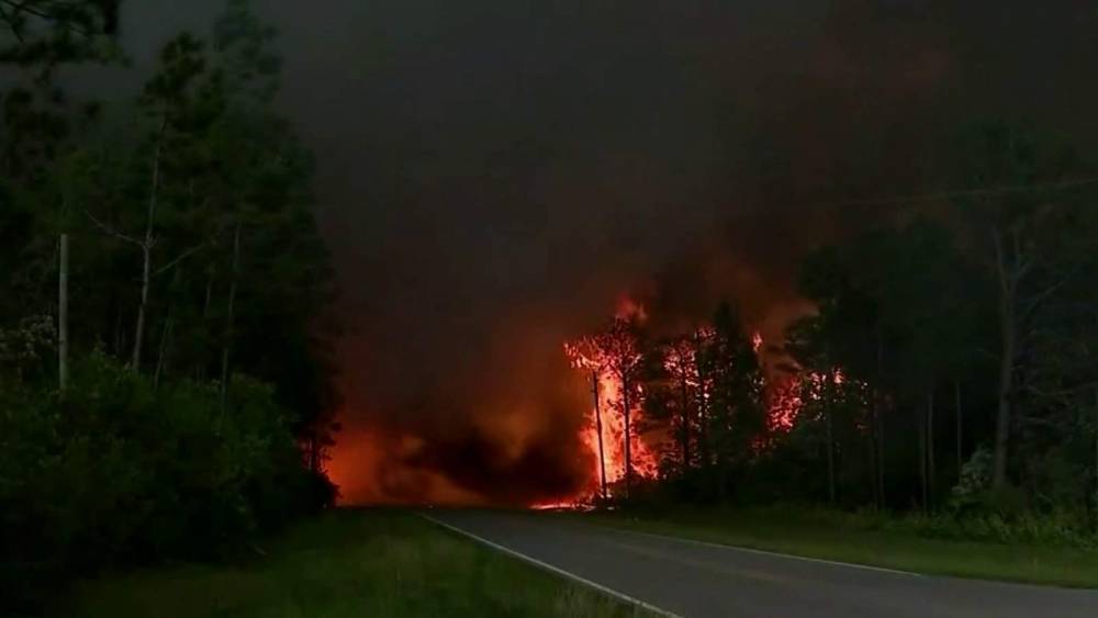 Forest Service - Wildfires rage in Florida Panhandle; 500 evacuated - clickorlando.com - state Florida - county Bay - city Tampa, county Bay - county Santa Rosa