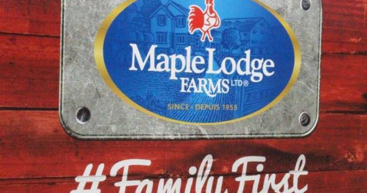 Worker dies, 25 COVID-19 cases reported at Maple Lodge Farms poultry plant in Brampton - globalnews.ca - Canada