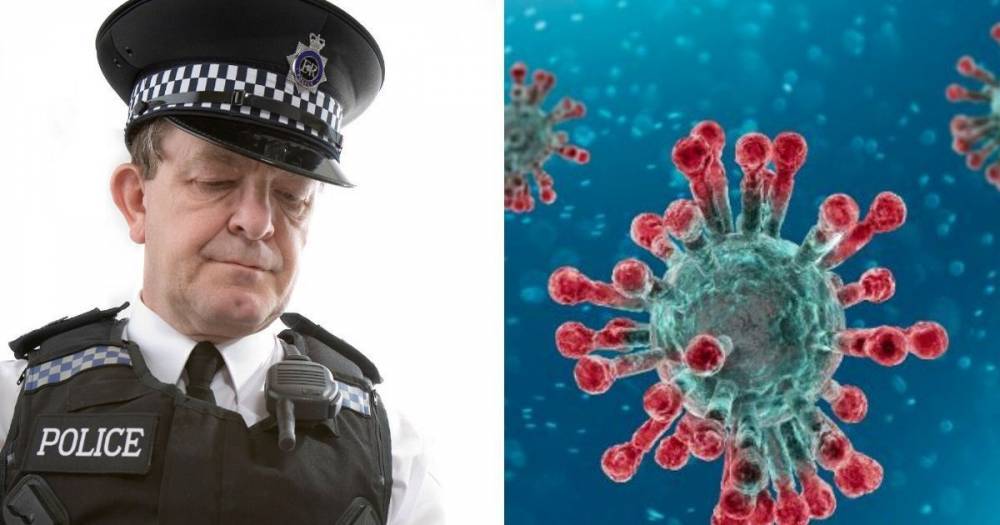 Oliver Dowden - 5 most common coronavirus myths people are still falling for - dailystar.co.uk