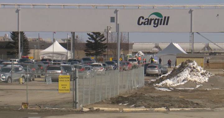 Coronavirus: Cargill, union to have hearing with Alberta Labour Relations Board next week - globalnews.ca