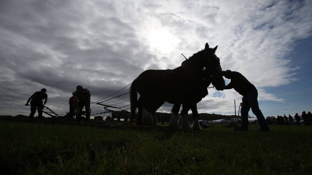 Sean Orourke - Covid-19 sees cancellation of Ploughing Championships - rte.ie