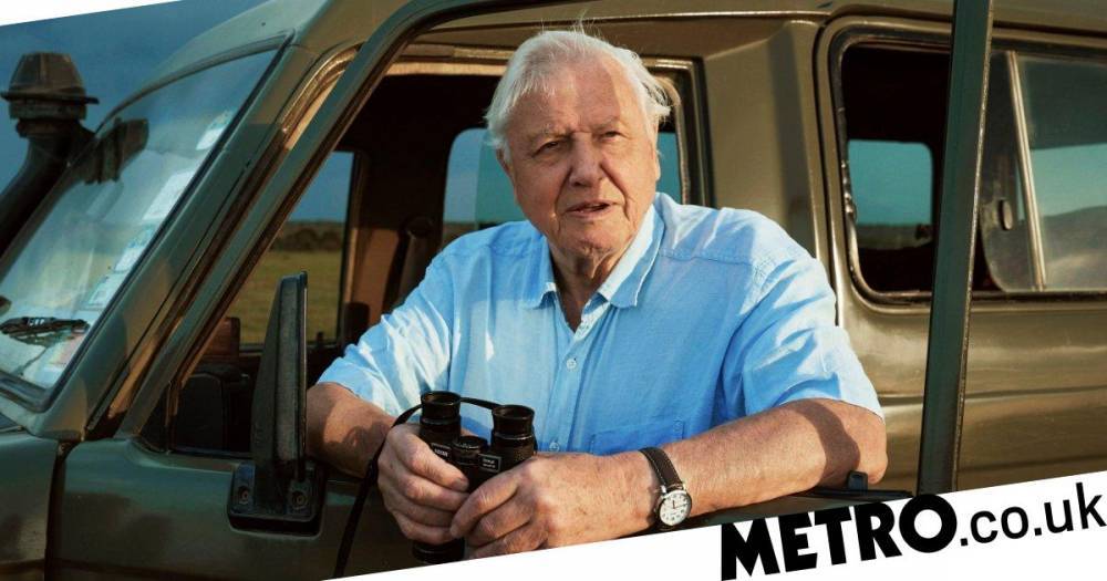 David Attenborough - Internet freaks out at seeing Sir David Attenborough trending – don’t worry it’s his 94th birthday - metro.co.uk