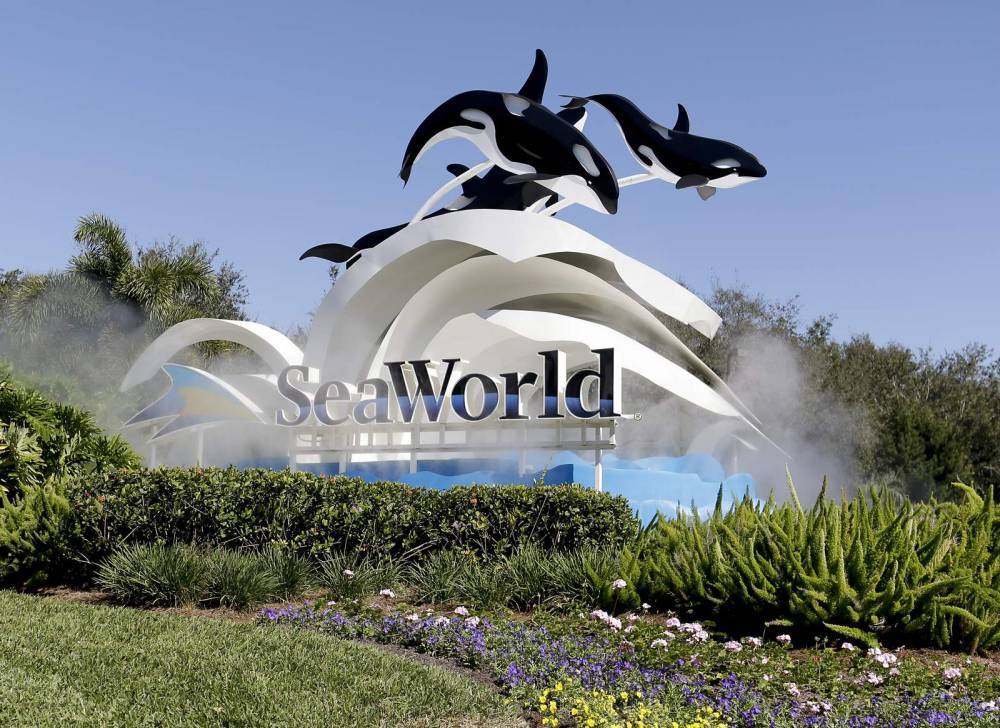 Ron Desantis - SeaWorld earnings, attendance plunge as COVID-19 wreaks havoc on tourism industry - clickorlando.com