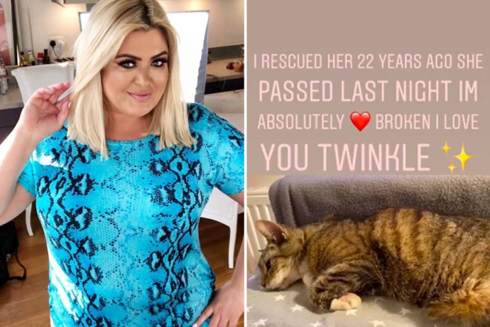 Gemma Collins - Whitney Houston - Gemma Collins devastated as beloved cat Twinkle dies 22 years after star rescued her - thesun.co.uk - county Real - city Houston