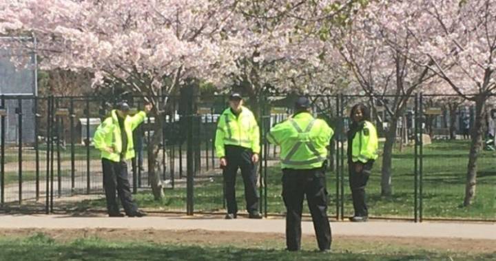 Coronavirus: Toronto bylaw officers caught posing for photos with fenced-off cherry trees - globalnews.ca - county Park - county Trinity