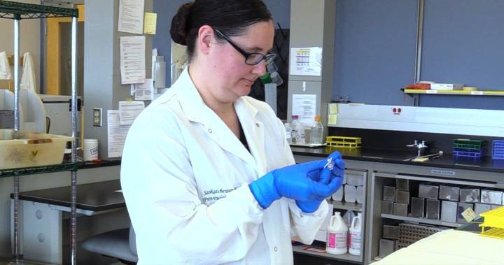 Inside the Roy Romanow Provincial Laboratory conducting coronavirus tests in Saskatchewan - globalnews.ca - province Romanow
