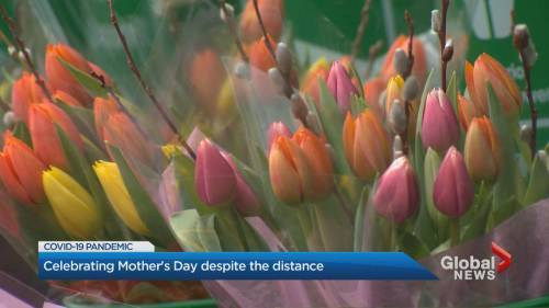 Planning for an unconventional Mother’s Day amid COVID-19 pandemic - globalnews.ca