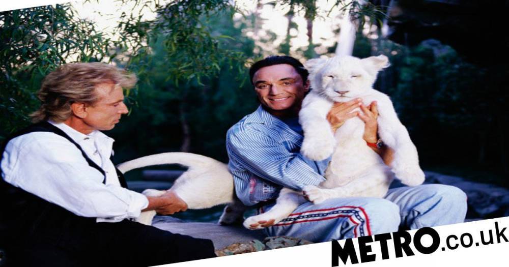 Roy Horn - Siegfried Fischbacher - Roy Horn: His rise to fame with Siegfried and the tiger attack that ended his career - metro.co.uk - city Las Vegas