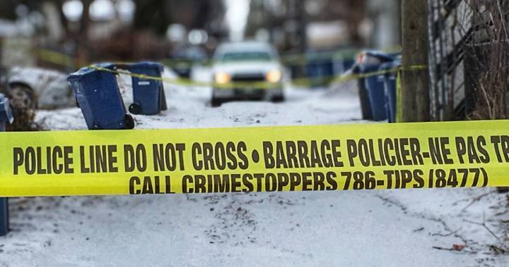 COVID-19 pandemic contributing to Winnipeg’s violent crime: U of W prof - globalnews.ca