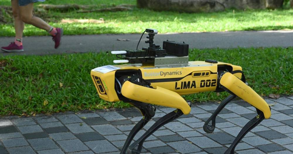 'Robodog' patrols park to tell people to keep their distance during lockdown - mirror.co.uk - Singapore - Britain