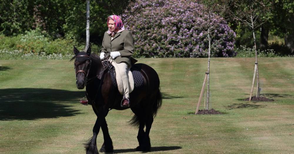 The Queen pictured for first time since lockdown enjoying horse ride at Windsor - mirror.co.uk