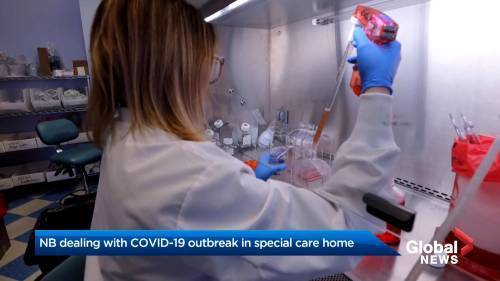 Silas Brown - Coronavirus outbreak: N.B. identifies 3 new COVID-19 cases in long-term care facility - globalnews.ca