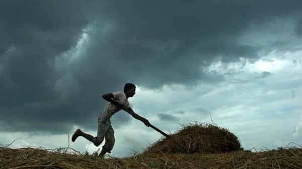 Monsoon rainfall hits Kerala right on time - livemint.com - city New Delhi - India