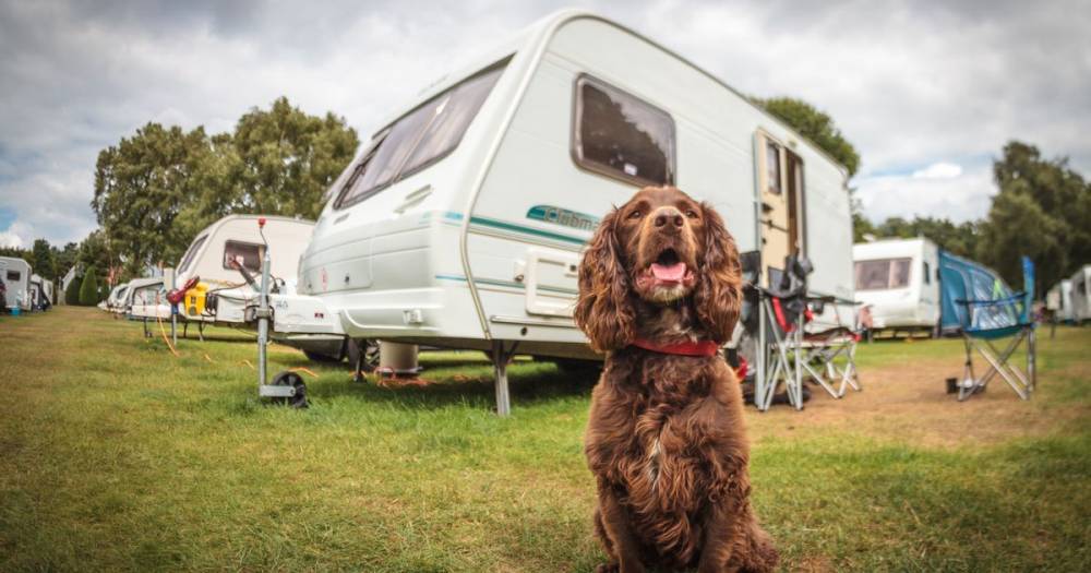 Caravan parks 'must return soon or risk never reopening at all', businesses warn - dailystar.co.uk - Britain - county Park