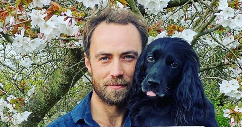Kate Middleton - James Middleton - James Middleton's heartache as new puppy dies shortly after birth - mirror.co.uk