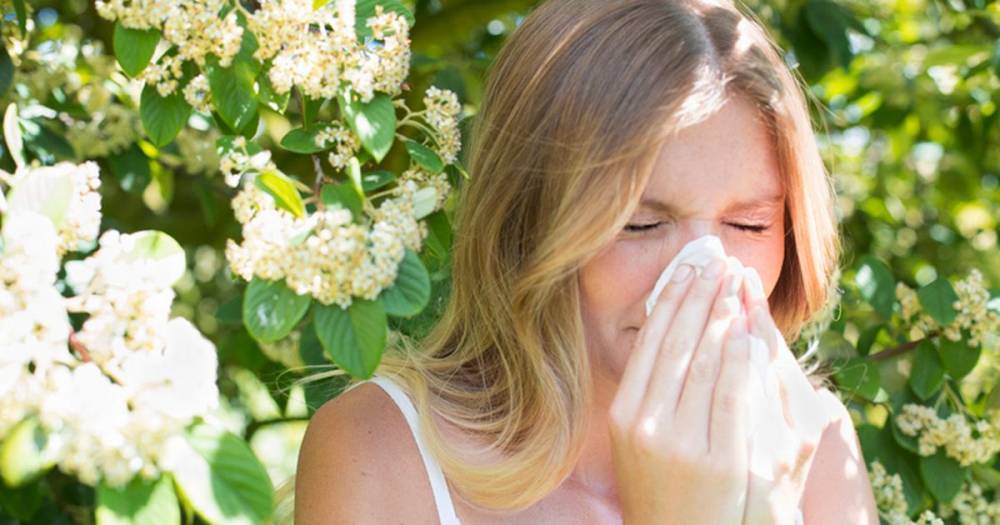 Hilary Jones - Why hay fever is so bad at the moment - and it could be due to less car pollution - mirror.co.uk - Britain