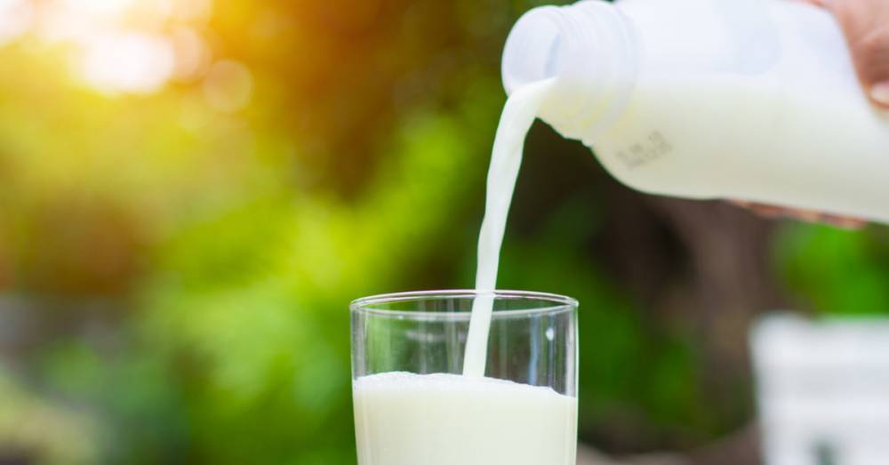 Could dairy protect against diabetes and hypertension? - medicalnewstoday.com - Usa