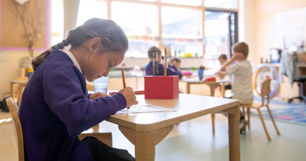 Anne Longfield - Parents 'could face fines' if they keep children off school in September - dailystar.co.uk - Britain