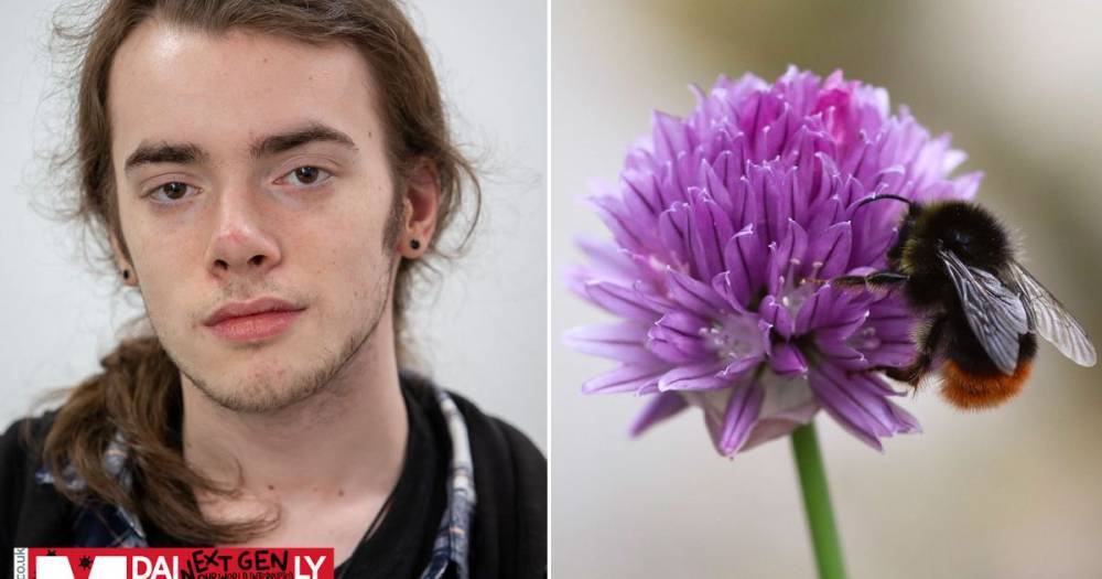 Teen’s tips on how daily fix nature from the back garden gets him through lockdown - mirror.co.uk