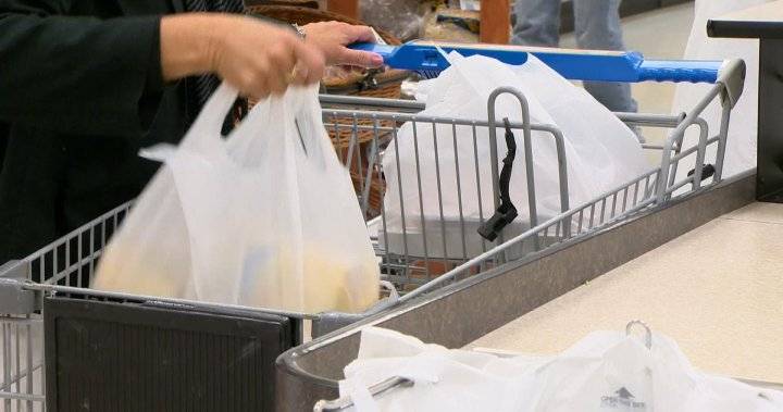 Albert Princealbert - Plastic bag ban fines suspended until state of emergency lifted: City of Prince Albert - globalnews.ca