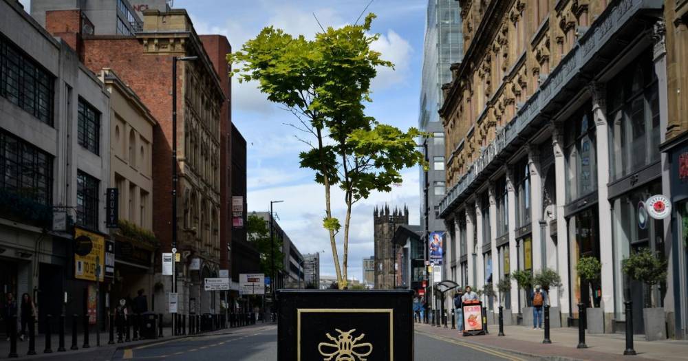 The £600k plans to transform parts of Manchester into pedestrian and cycle zones - manchestereveningnews.co.uk - city Manchester