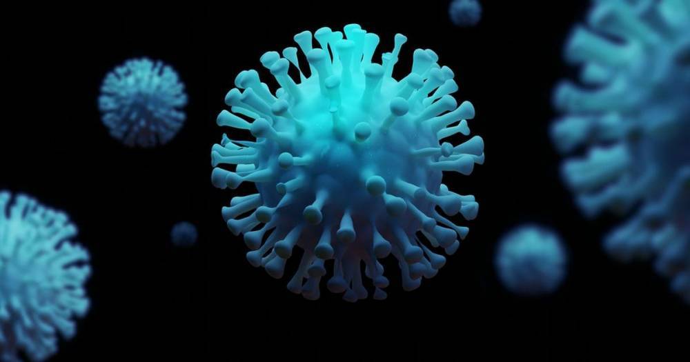 South Lanarkshire has Scotland's largest weekly coronavirus death rate - dailyrecord.co.uk - Scotland