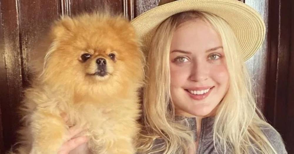 Elena Katerova - Tiffany Puppies - Molly-Mae Hague's dog breeder claims Mr Chai was healthy before his tragic death - mirror.co.uk - city Hague