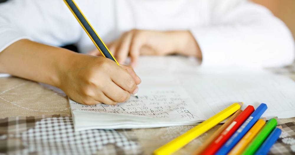 Key workers won't be able to send kids to school over summer, Government says - dailystar.co.uk