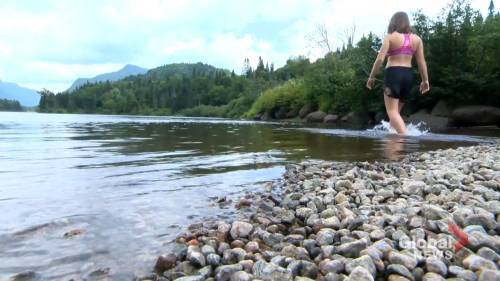 Raquel Fletcher - Quebec announces more than $700 million in funding for flailing tourism industry - globalnews.ca