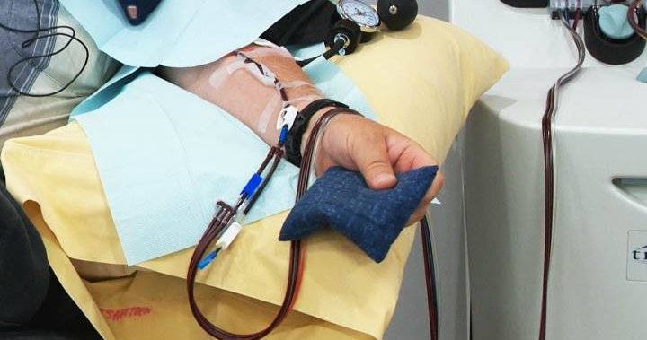 Héma-Québec calls for more blood donations ahead of summer - globalnews.ca