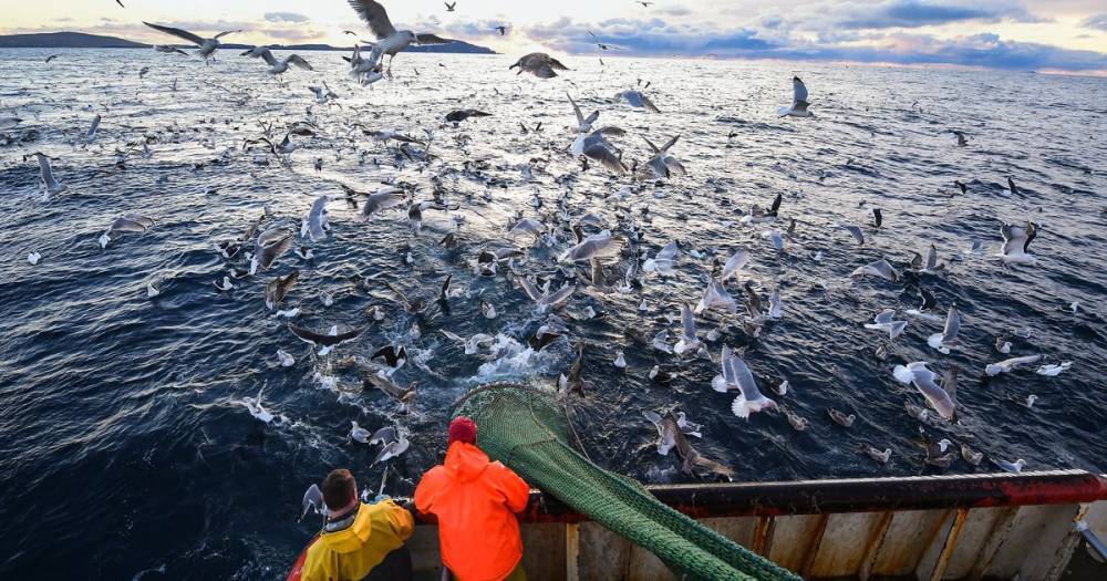 Scottish fishing fleet should expect blockades under Brexit, say industry leaders - dailyrecord.co.uk - Britain - Scotland