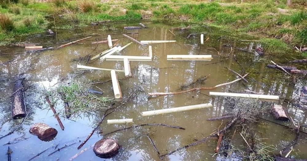 Vandals cause thousands of pounds worth of damage at East Kilbride woodlands - dailyrecord.co.uk