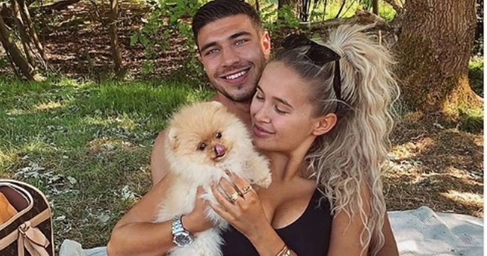 Tommy Fury - Mae Hague - Love Island's Molly-Mae Hague and Tommy Fury 'heartbroken' after new Pomeranian puppy dies just six days after getting him - dailyrecord.co.uk - city Hague