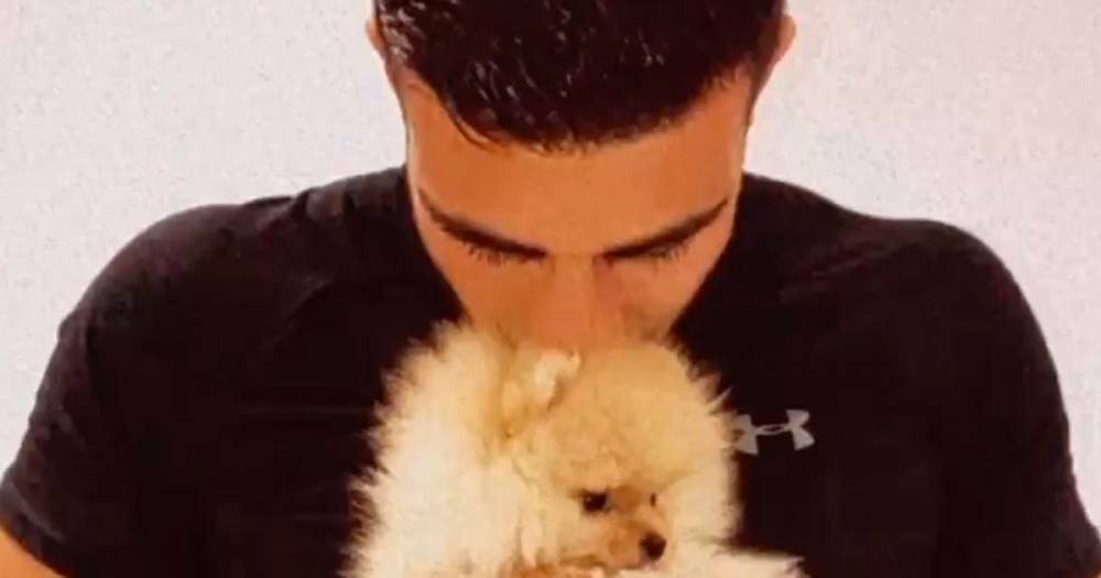 Molly-Mae Hague - Tommy Fury - Tommy Fury 'truly devastated' as he breaks silence on the death of his and Molly-Mae Hague's puppy after having him for six days - ok.co.uk - Russia - city Manchester - city Hague