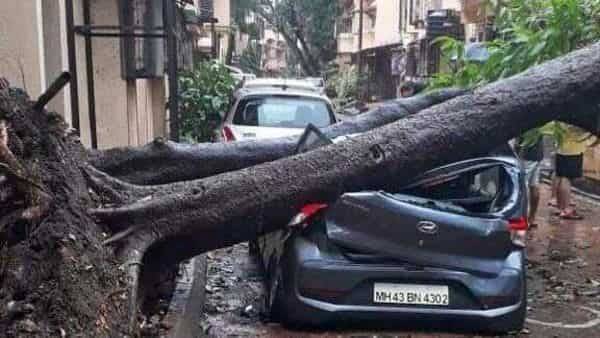 Mumbai avoids brunt of Cylone Nisarga as storm makes landfall further south - livemint.com - India - city Mumbai