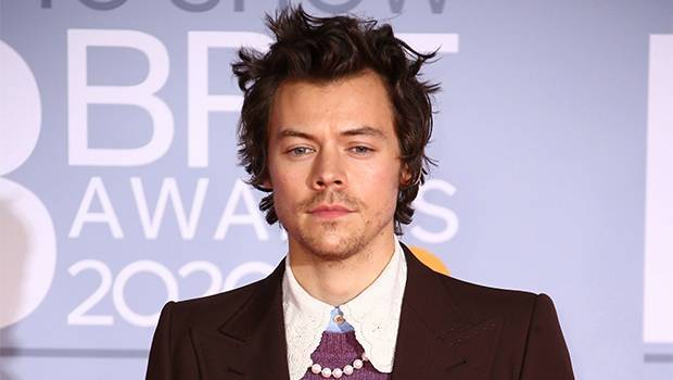 Harry Styles - George Floyd - Harry Styles Proudly Supports Black Lives Matter As He Joins Fans To Protest In L.A. — Pics - hollywoodlife.com - Los Angeles