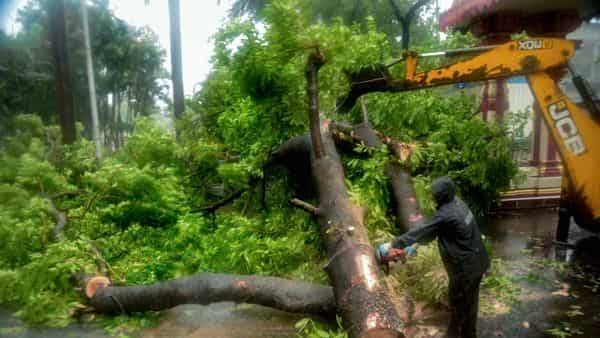Nisarga knocks down trees, houses and power, one dead in Alibag - livemint.com - city Mumbai