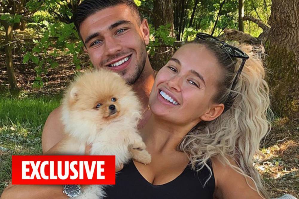 Tommy Fury - Molly Mae - Molly Mae and Tommy Fury’s dead pup wasn’t from a registered breeder, confirm The Kennel Club who say ‘it’s devastating’ - thesun.co.uk - city Hague