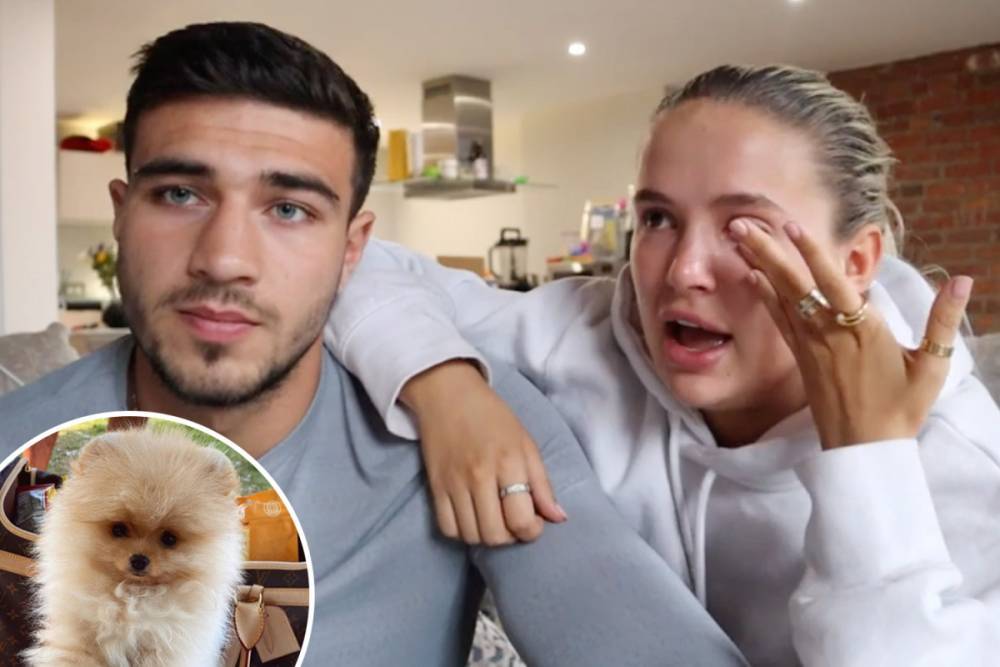 Molly-Mae Hague - Love Island’s Molly-Mae breaks down in tears as she hits back over heartbreaking death of her puppy Mr Chai - thesun.co.uk - Russia - city Hague