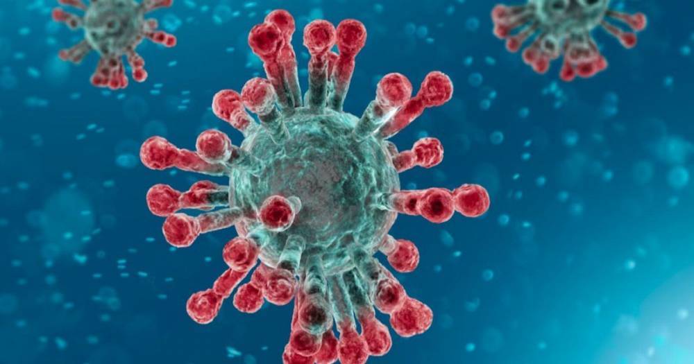 East Ayrshire - Weekly coronavirus death toll in Ayrshire has reduced - dailyrecord.co.uk