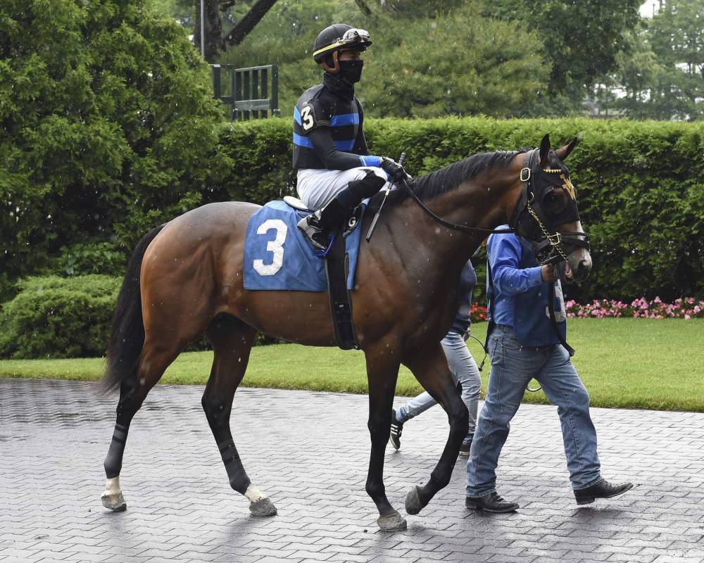 Anthony Fauci - Horse named for Dr. Anthony Fauci finishes second in debut - clickorlando.com - Usa - county Park - city Brooklyn - county Belmont - New York, county Park