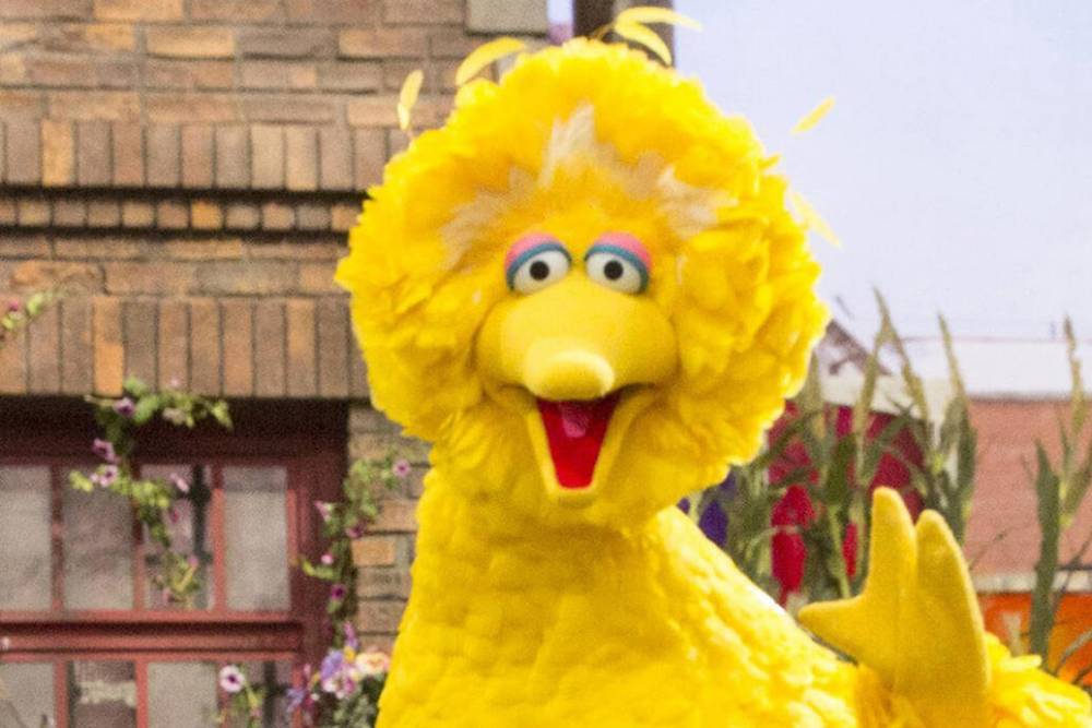 Abby Cadabby - Sesame Street and CNN Team Up for a Town Hall About Racism - tvguide.com - county Hall